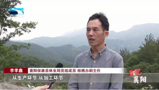 直通襄阳 | 乡村振兴正当时 产业兴旺促发展