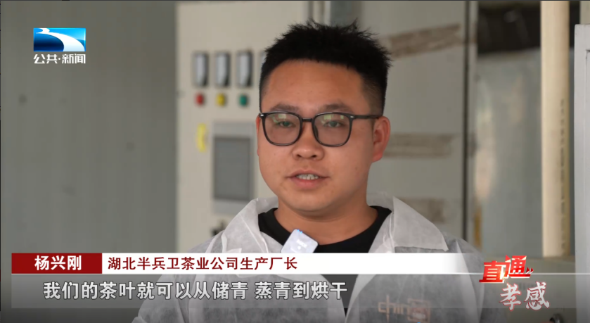 湖北半兵卫茶业公司生产厂长 杨兴刚:"我们现在有4条生产线,都采用的