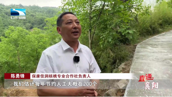 直通襄阳 | 乡村振兴正当时 产业兴旺促发展