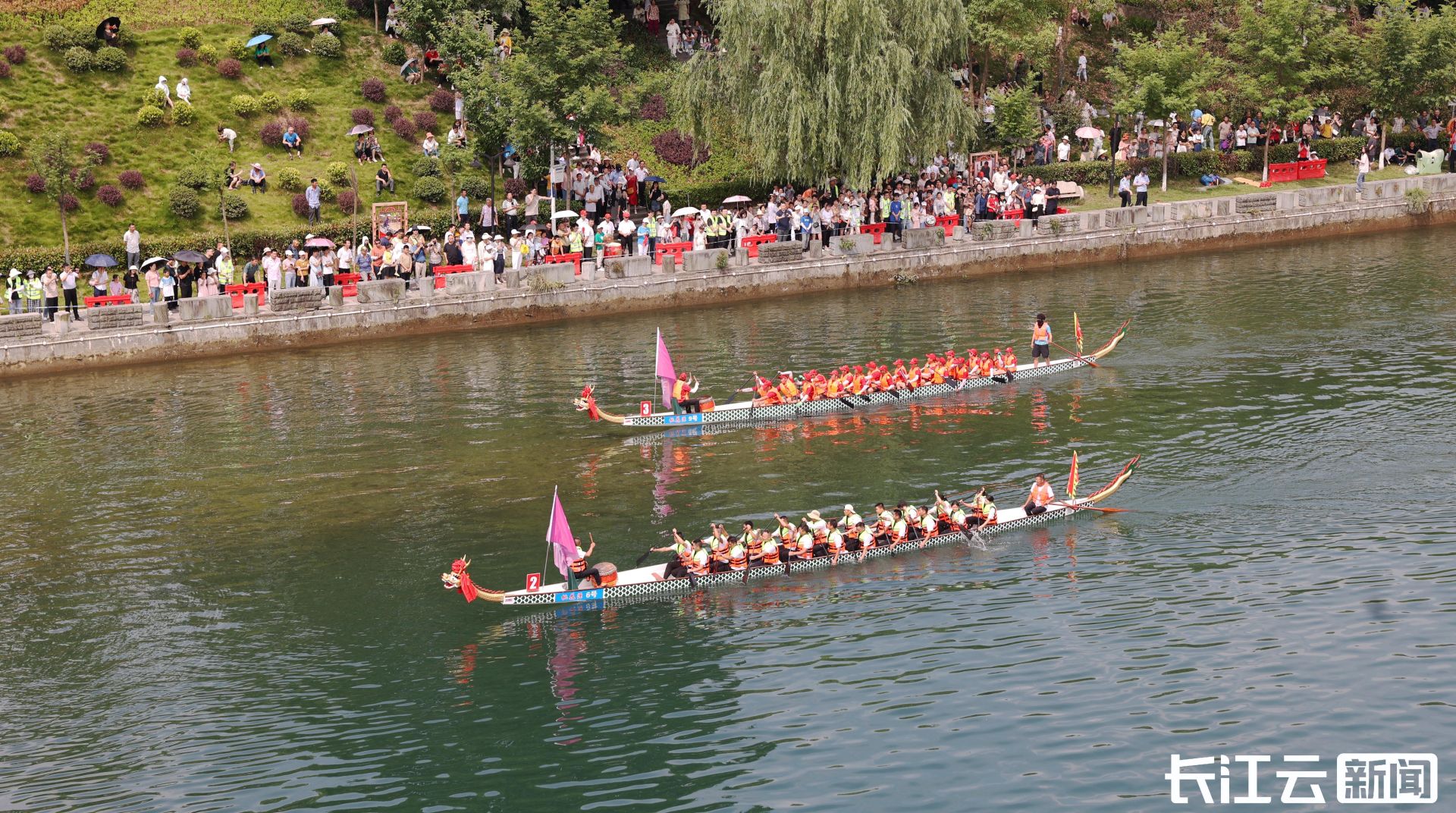 冠军奖励一头牛 十堰竹山县首届龙舟赛激情开赛