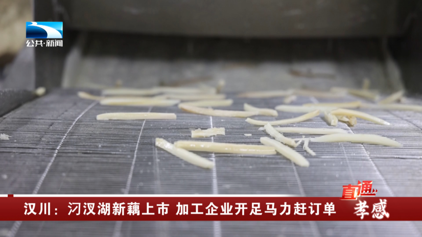 湖北荷贵食品有限公司总经理 余昭兵"我们的芝麻藕条和其它厂家的不