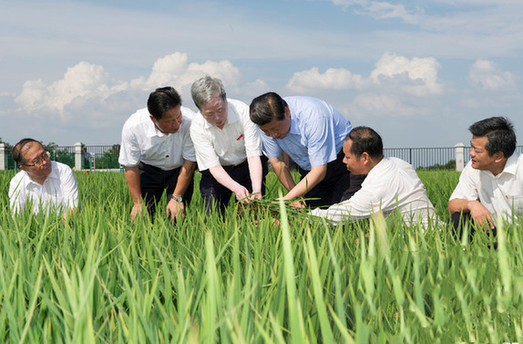 牢記總書記的囑托 | 閃亮足跡 荊楚答卷