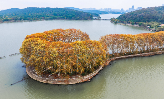 金昌东湖公园图片