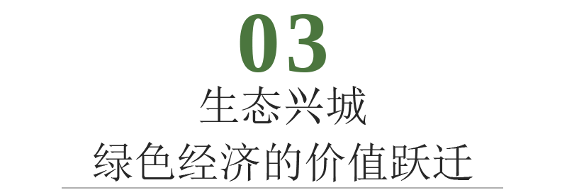 标题31.png