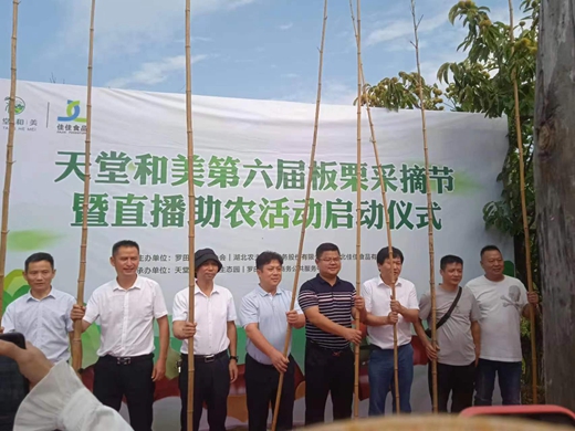罗田县举行地标优品直播暨板栗文化读书活动