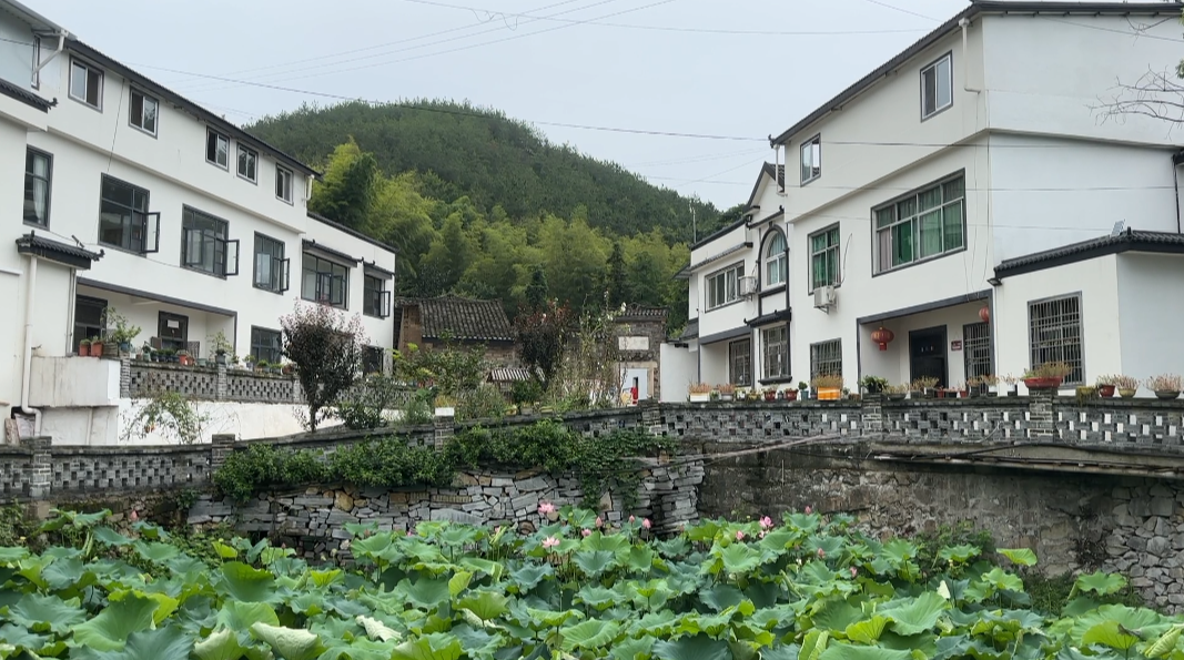 罗田县骆驼坳镇和美乡村共同缔造