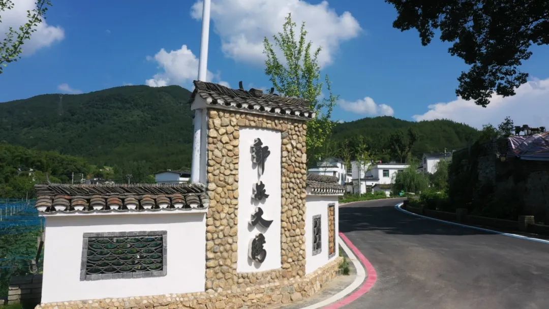 罗田县骆驼坳镇和美乡村共同缔造