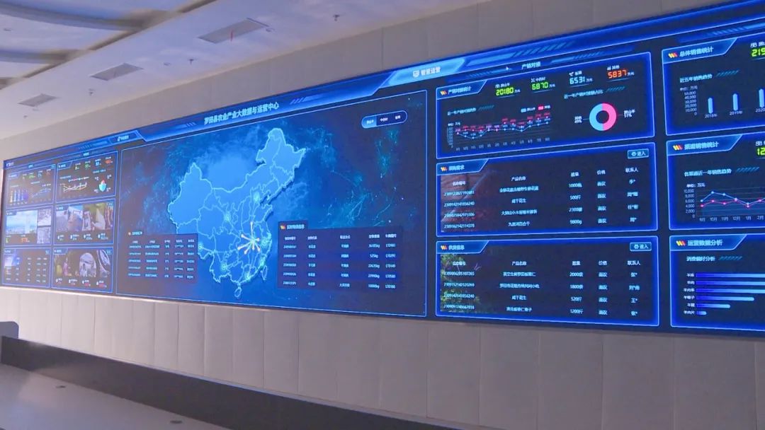 着力打造全国首个全产业链可视化可追溯数字化"空港"_罗田县人民政府