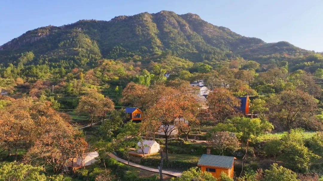 三里畈錾字石片区柿柿如意喜气羊羊