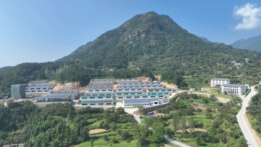 三里畈錾字石片区柿柿如意喜气羊羊