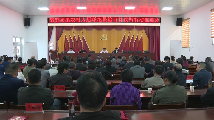 骆驼坳镇部署农村人居环境整治百日攻坚行动推进工作