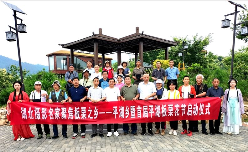 首届平湖板栗花节启动
