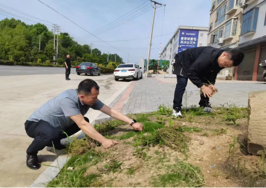 罗田12345热线，守牢生态环境安全屏障