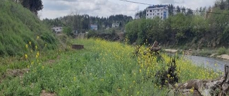 大河岸镇开展“清河净滩”整治活动