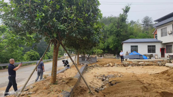 汪家畈村“三举措”持续美化村庄环境