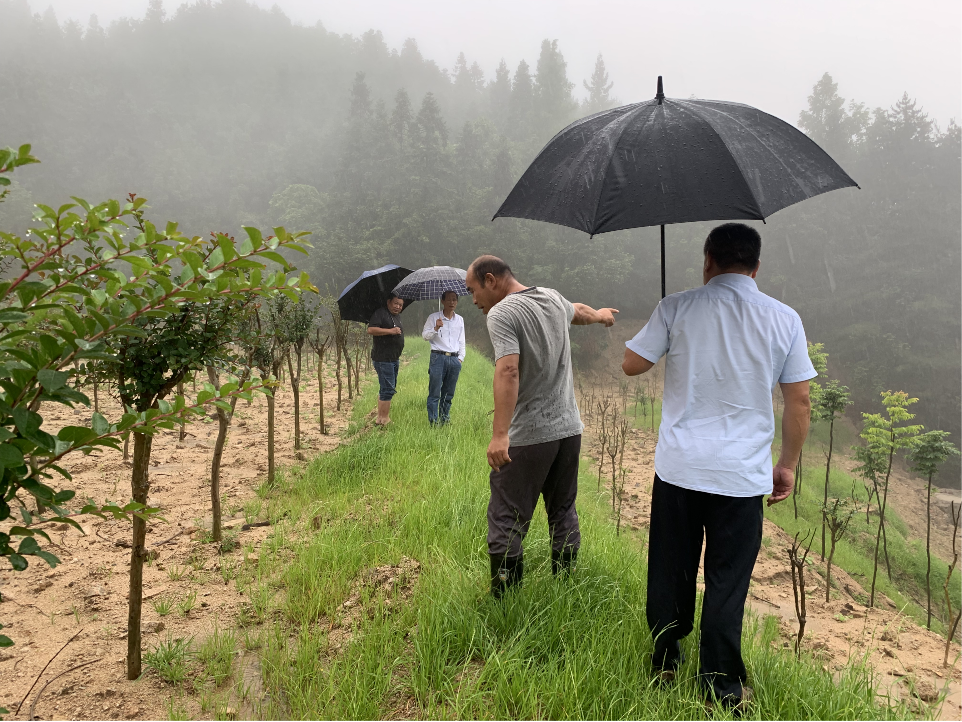 罗田县天堂寨林场扎实开展防汛备汛工作