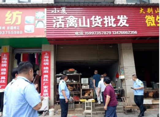 罗田“清风行动”为野生动植物撑起“保护伞”