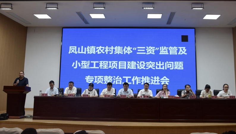 凤山镇组织召开开展农村集体“三资”监管及小型工程项目建设突出问题专项整治工作推进会
