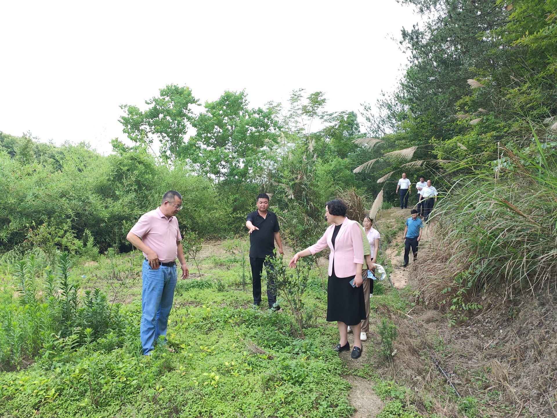 黄冈市退役军人事务局赴文家坊村调研指导工作