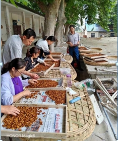 科技人才下基层 乡村振兴新动能