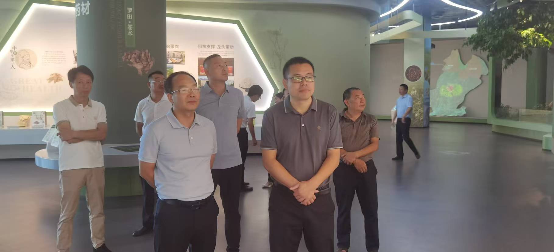 秭归县沙镇溪镇来罗田县调研中药材、板栗产业发展