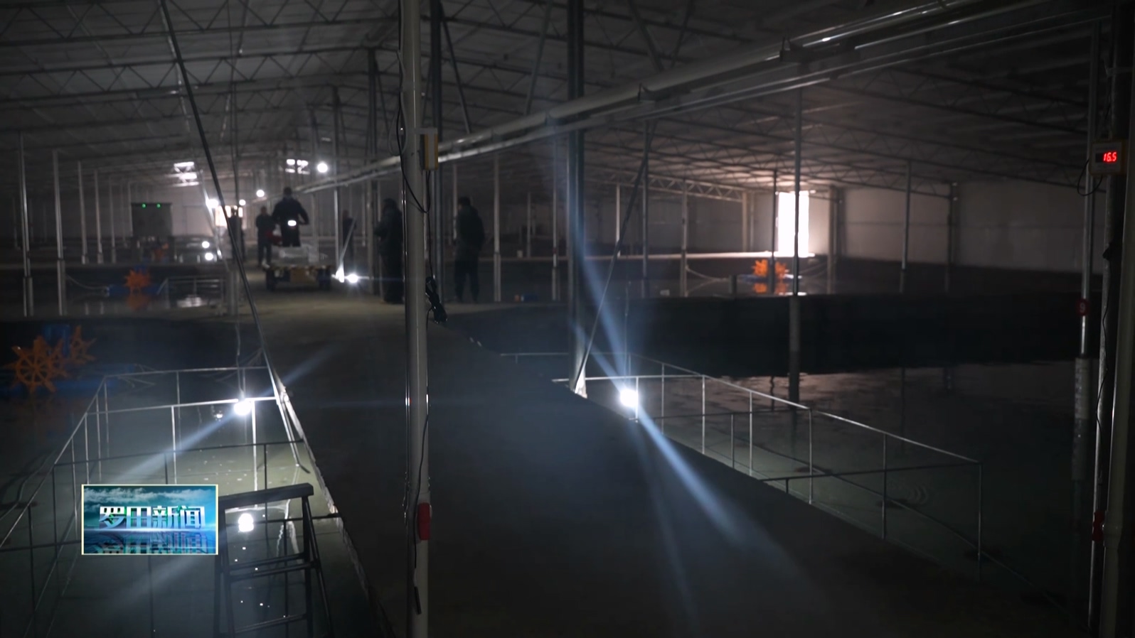 河铺镇台上冲村：特色产业“鳗”养殖 助力乡村“快”发展