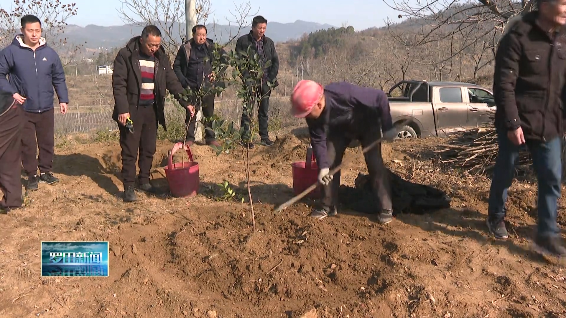 罗田县林业局组织开展春季栗园管理技术培训