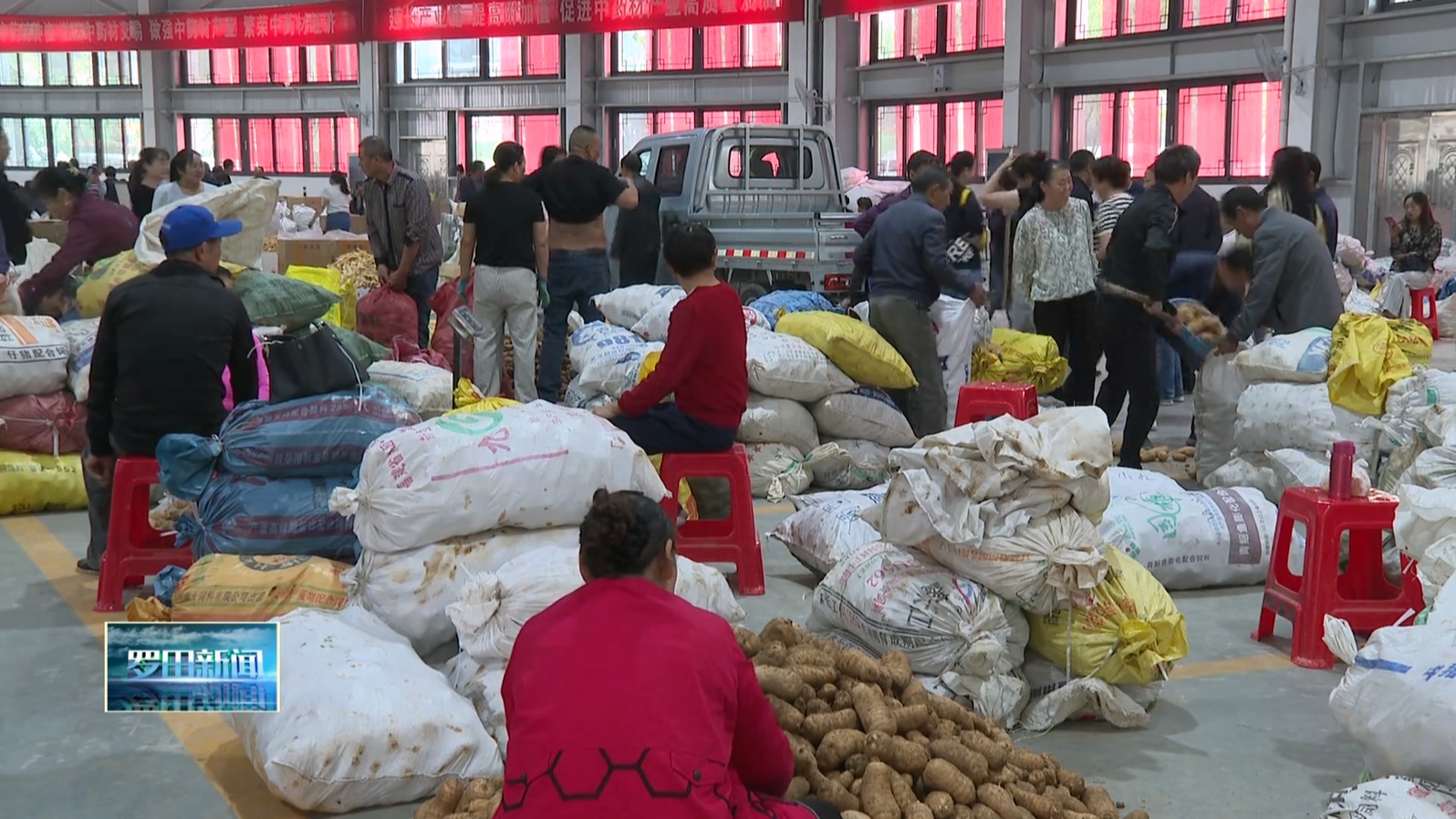 罗田县中药材产业链发展势头强劲 助力乡村振兴“好钱景”