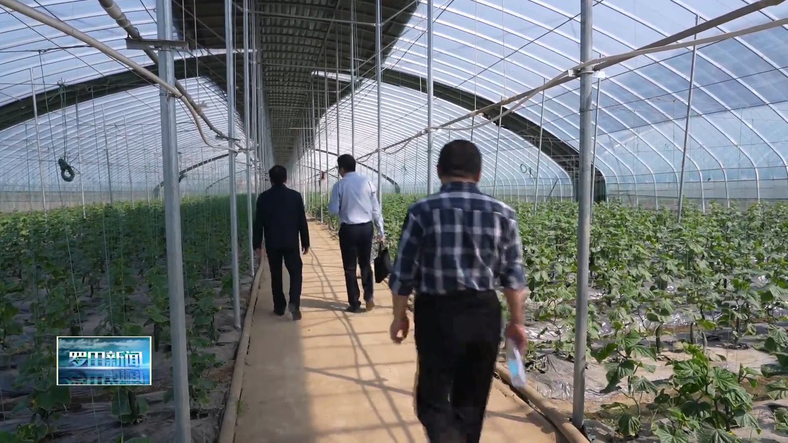 黄冈膳食委员会到罗田大自然食品股份有限公司检查食品安全工作