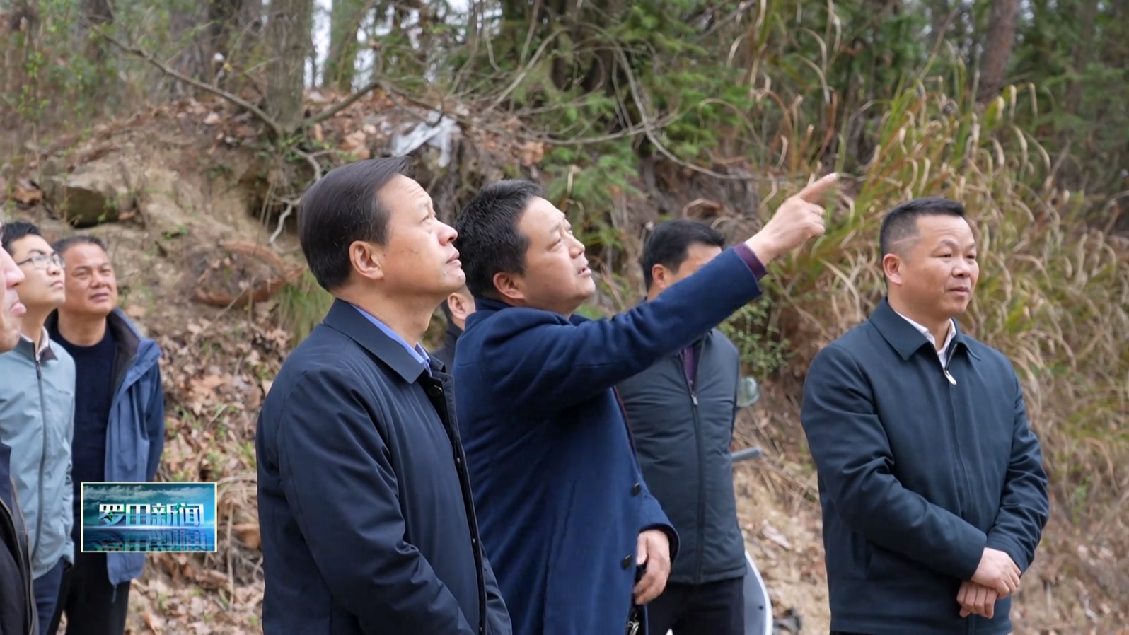 刘忠诚到罗田调研督导松材线虫病防治工作
