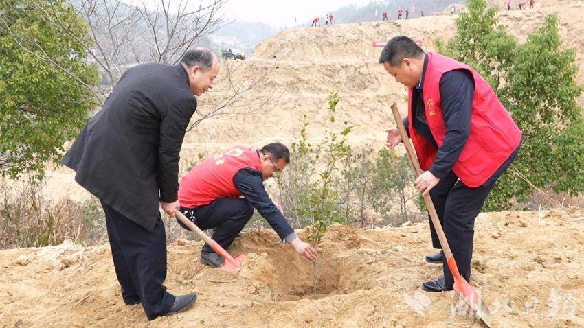 匡河镇：干群同心植新绿 共建生态美家园
