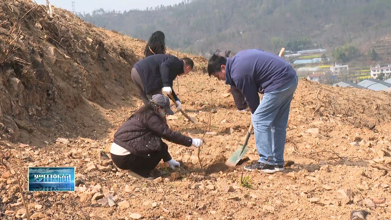 省经信厅来我县开展植树造林活动