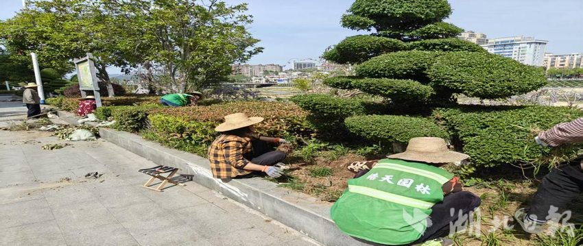挺进大别山 跃马向罗田