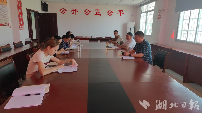 罗田县三里畈镇财政所开展2025年“民法典宣传月”活动