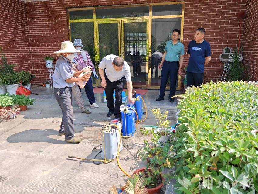 罗田县应急管理局、县退役军人事务局组织开展“清茅行动” 筑牢县烈士陵园“防火墙”