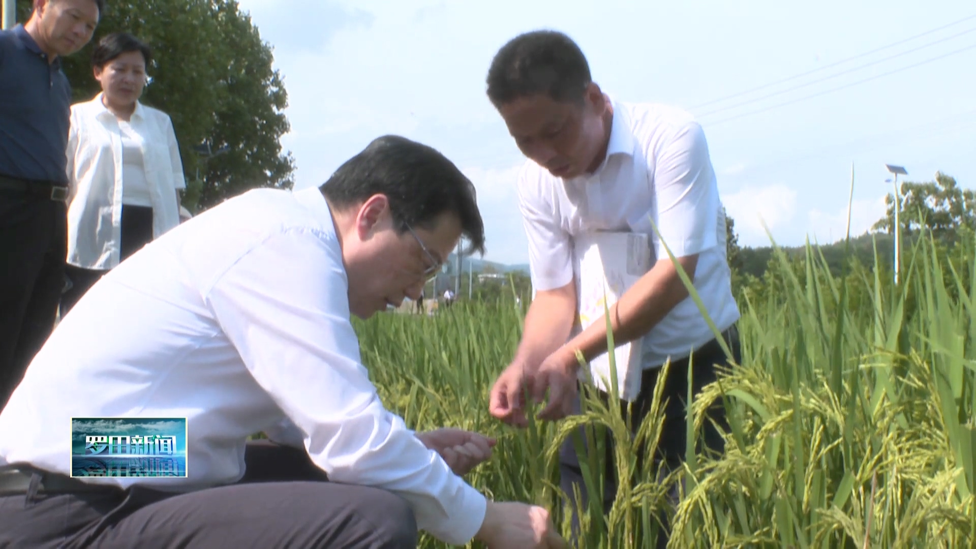 湖北省委副书记诸葛宇杰到罗田县调研乡村振兴工作
