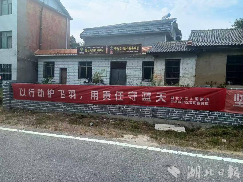 湖北大别山国家级自然保护区罗田管理局护鸟在行动