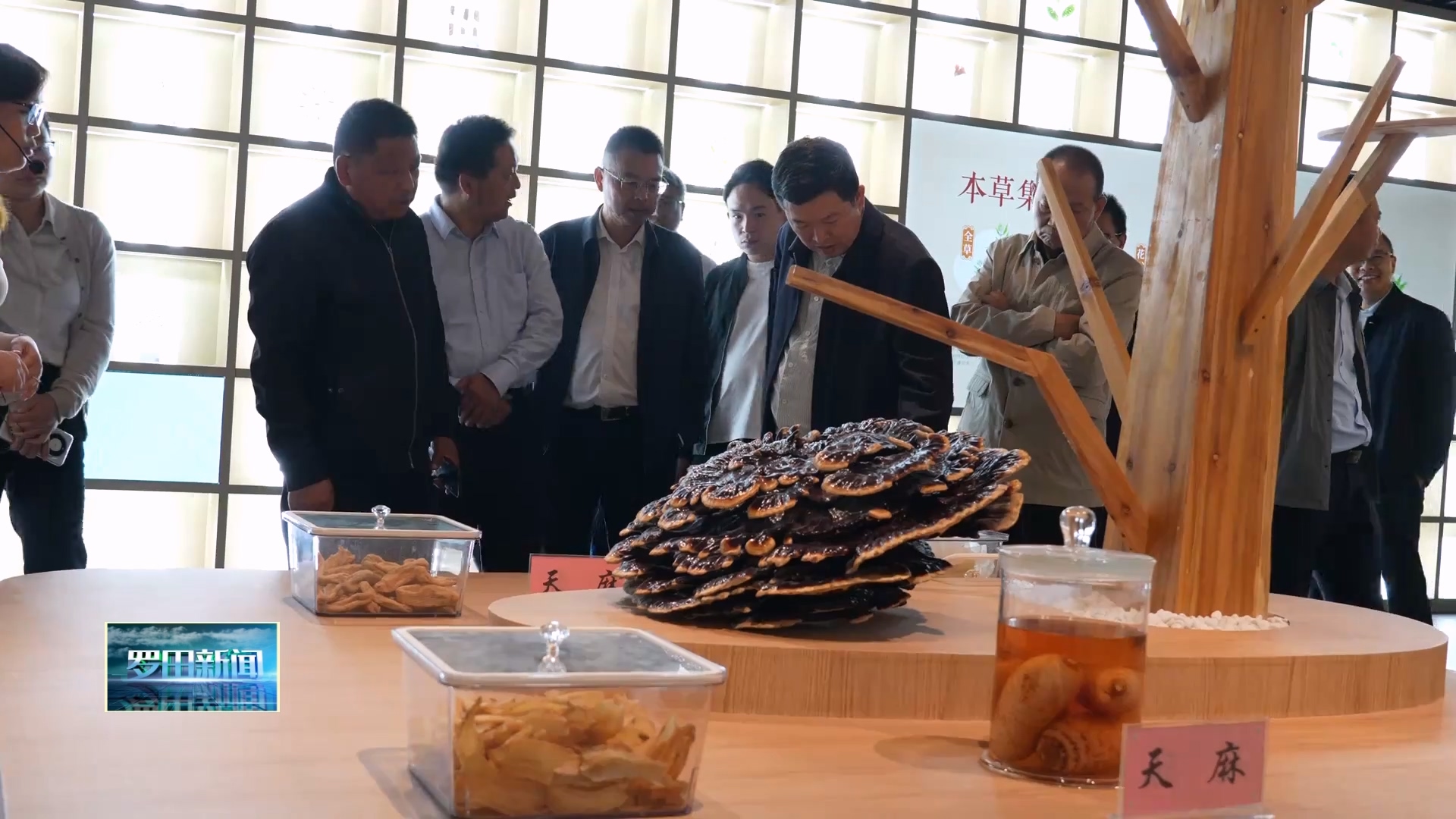 全市加快林下经济高质量发展现场培训观摩活动在罗田县举行