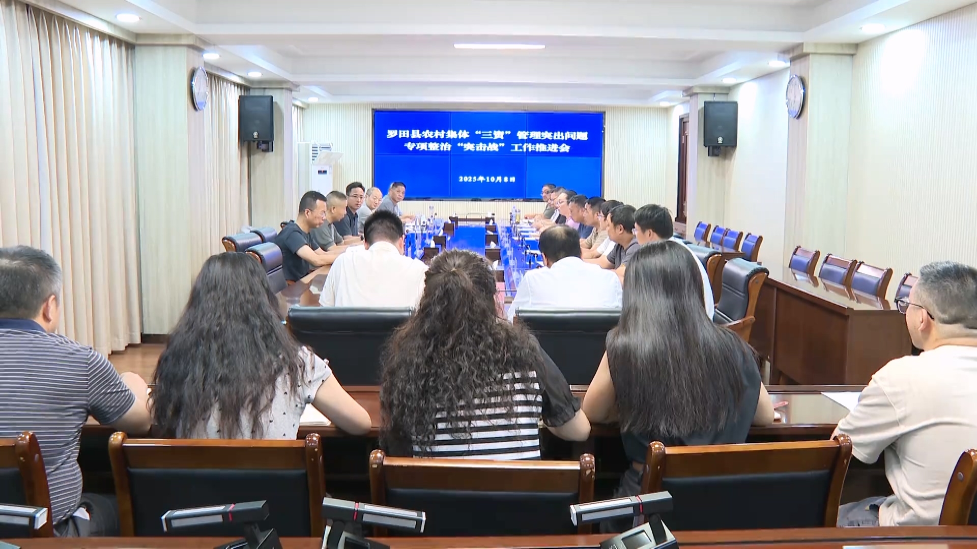 罗田县举行农村集体“三资”管理突出问题专项整治推进会