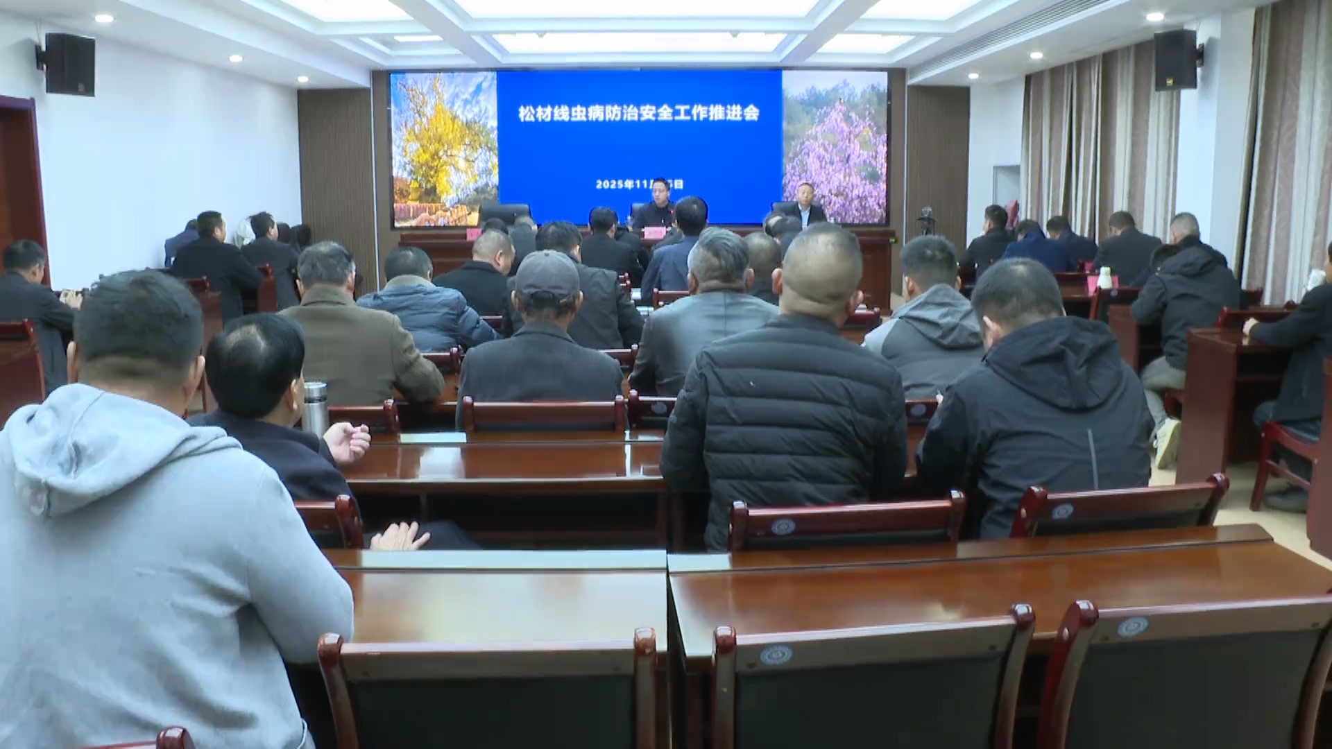 罗田县举行松材线虫病防治安全工作推进会