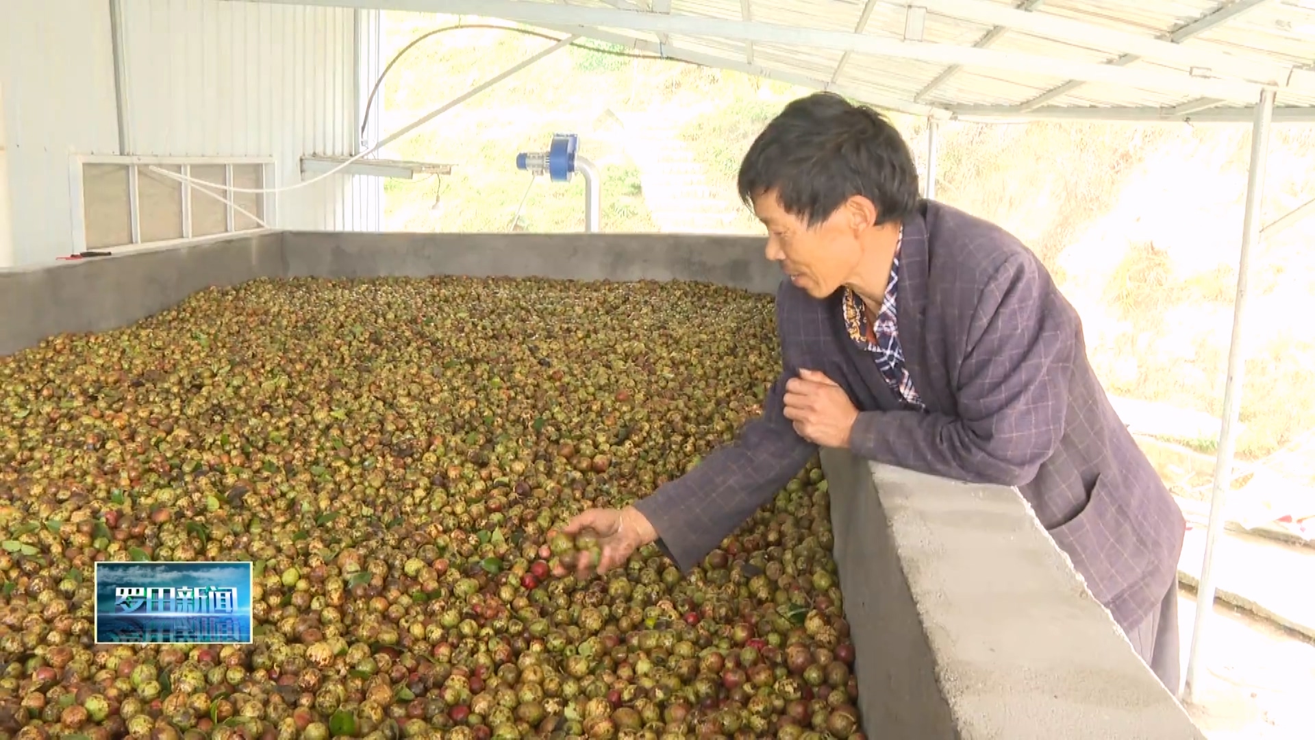 匡河镇：让农户的“辛苦果”变成“增收果”