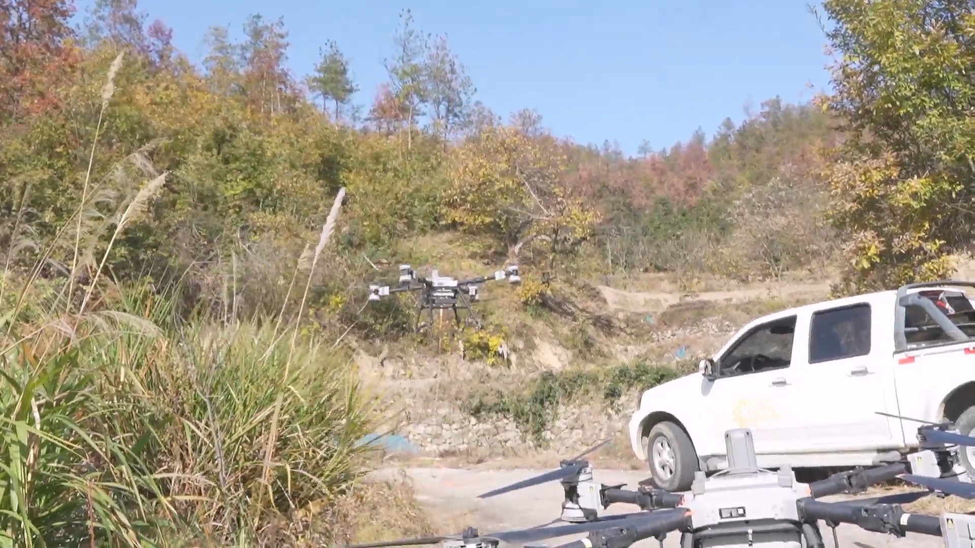 无人机开辟疫木清理“空中走廊”