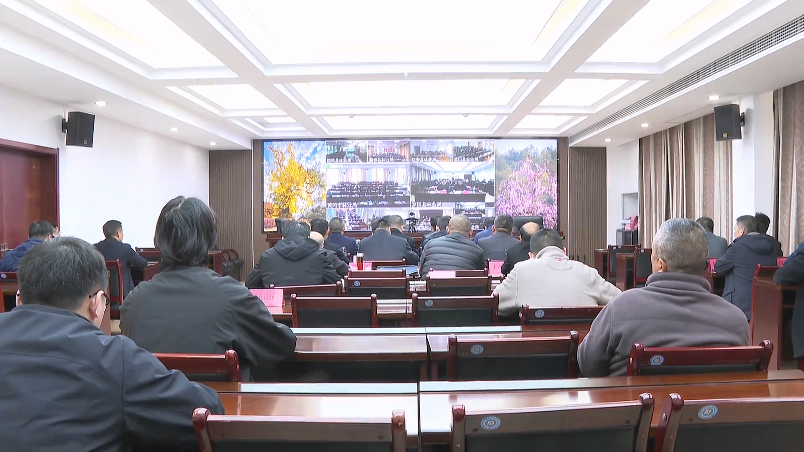 罗田县收听收看全市松材线虫病防治工作视频调度会