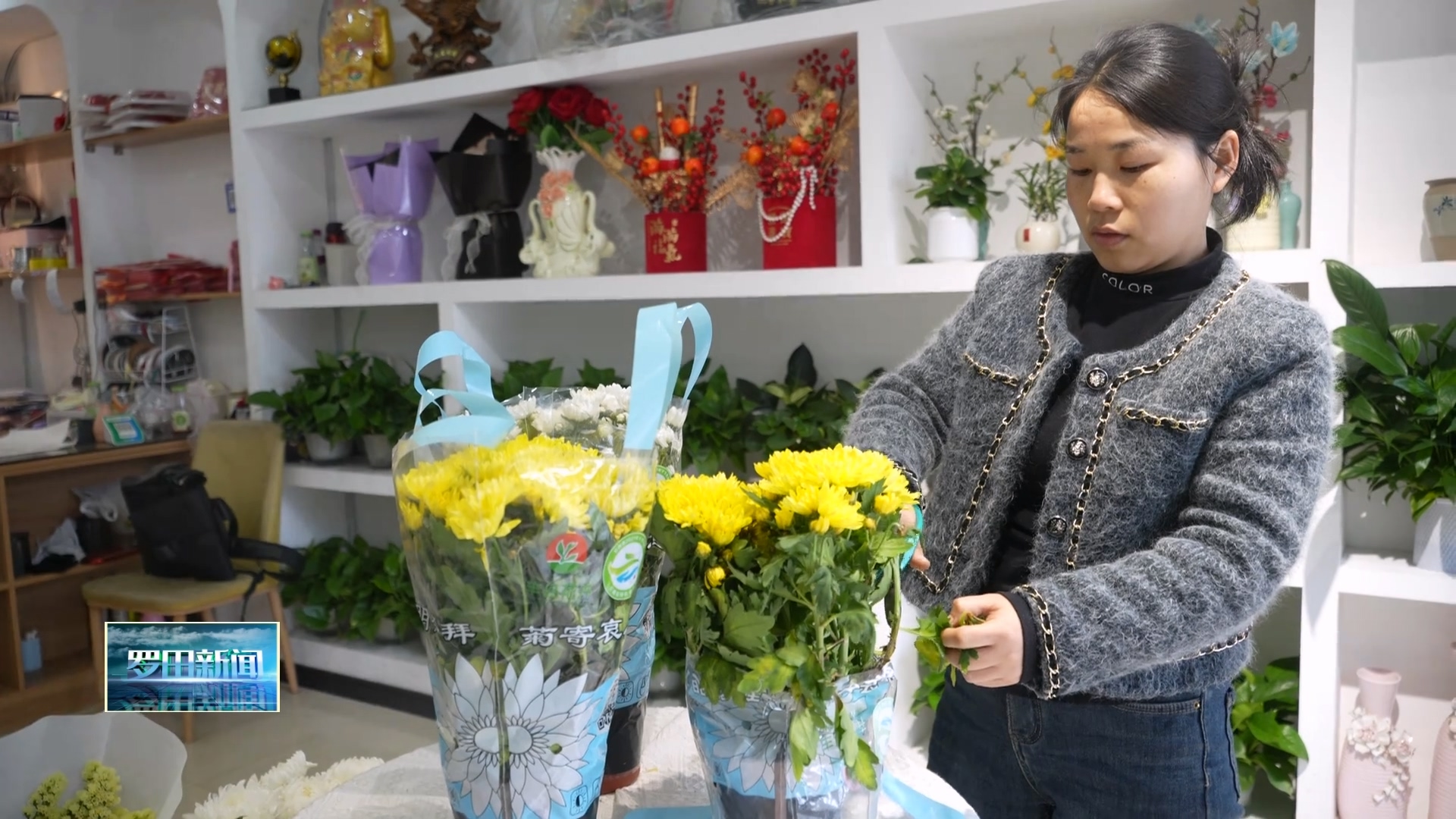 春风催旺花经济 春季花卉市场购销两旺