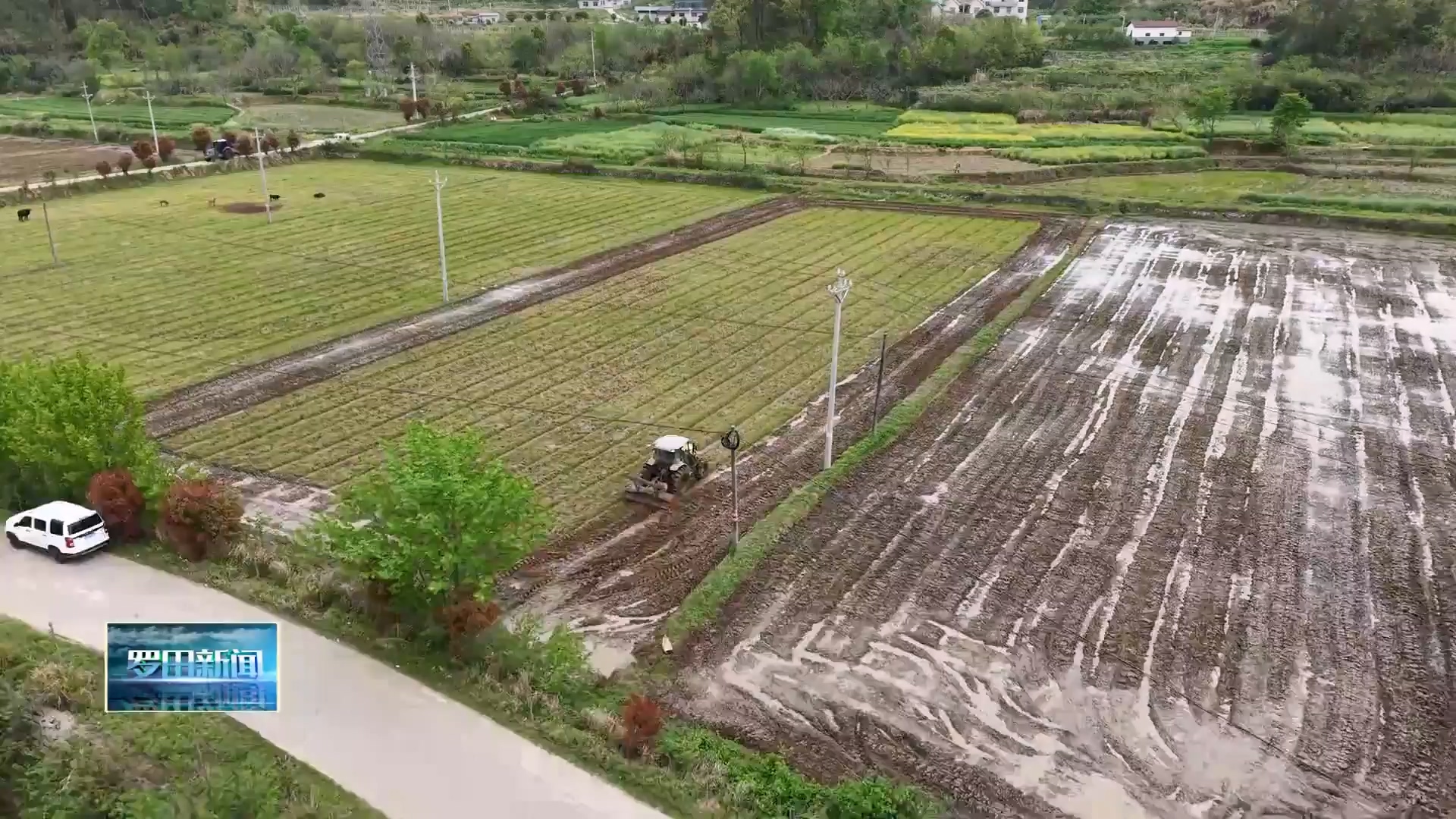 万家丰农机专业合作社：春耕犁田忙 机械助耕促丰收