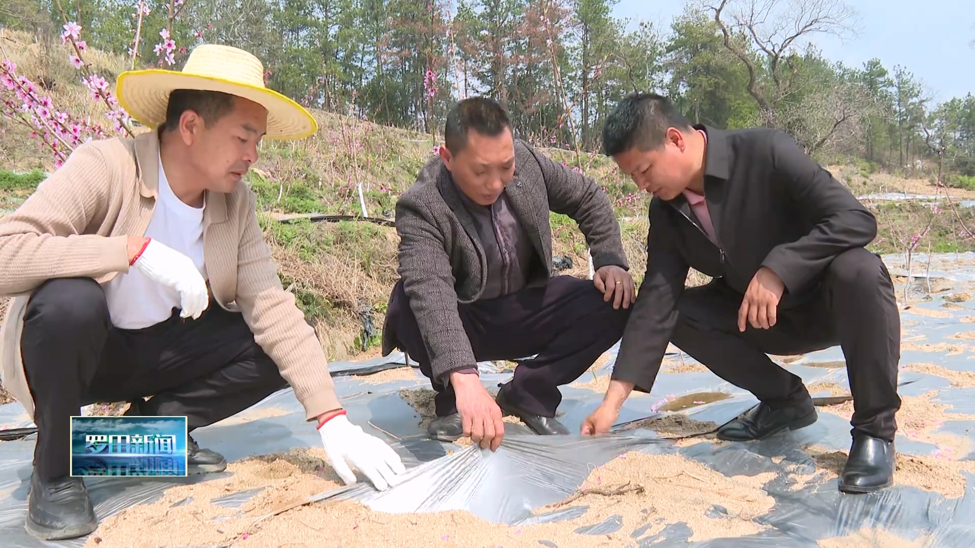 九资河镇石柱山村：农旅融合兴产业 春耕备耕忙振兴
