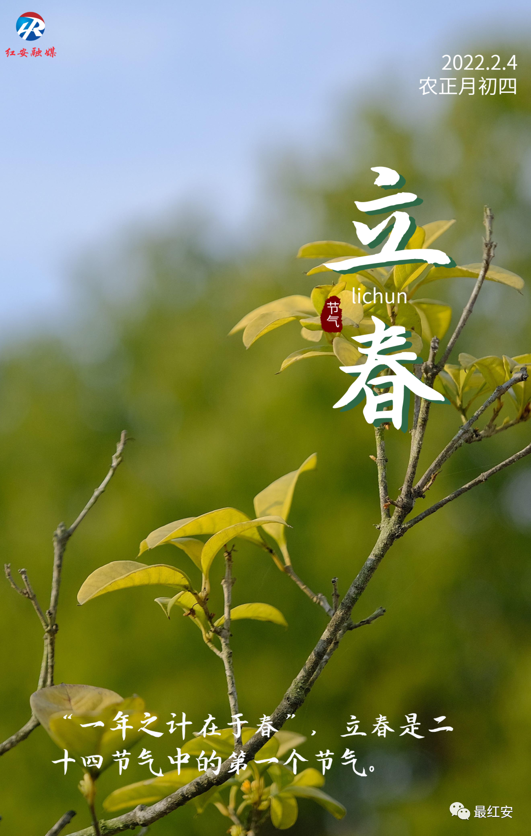 立春春生万物红安欣赏