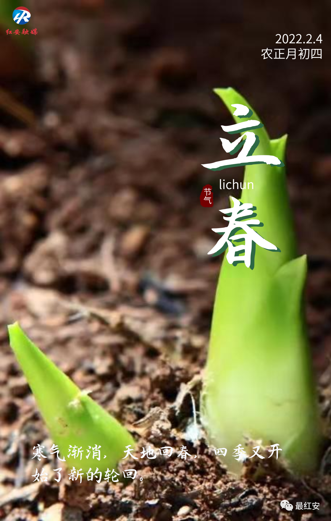 立春春生万物红安欣赏