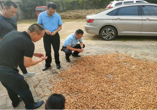 红安县商贸经济联合会开展助农秋收活动，共同缔造美好生活