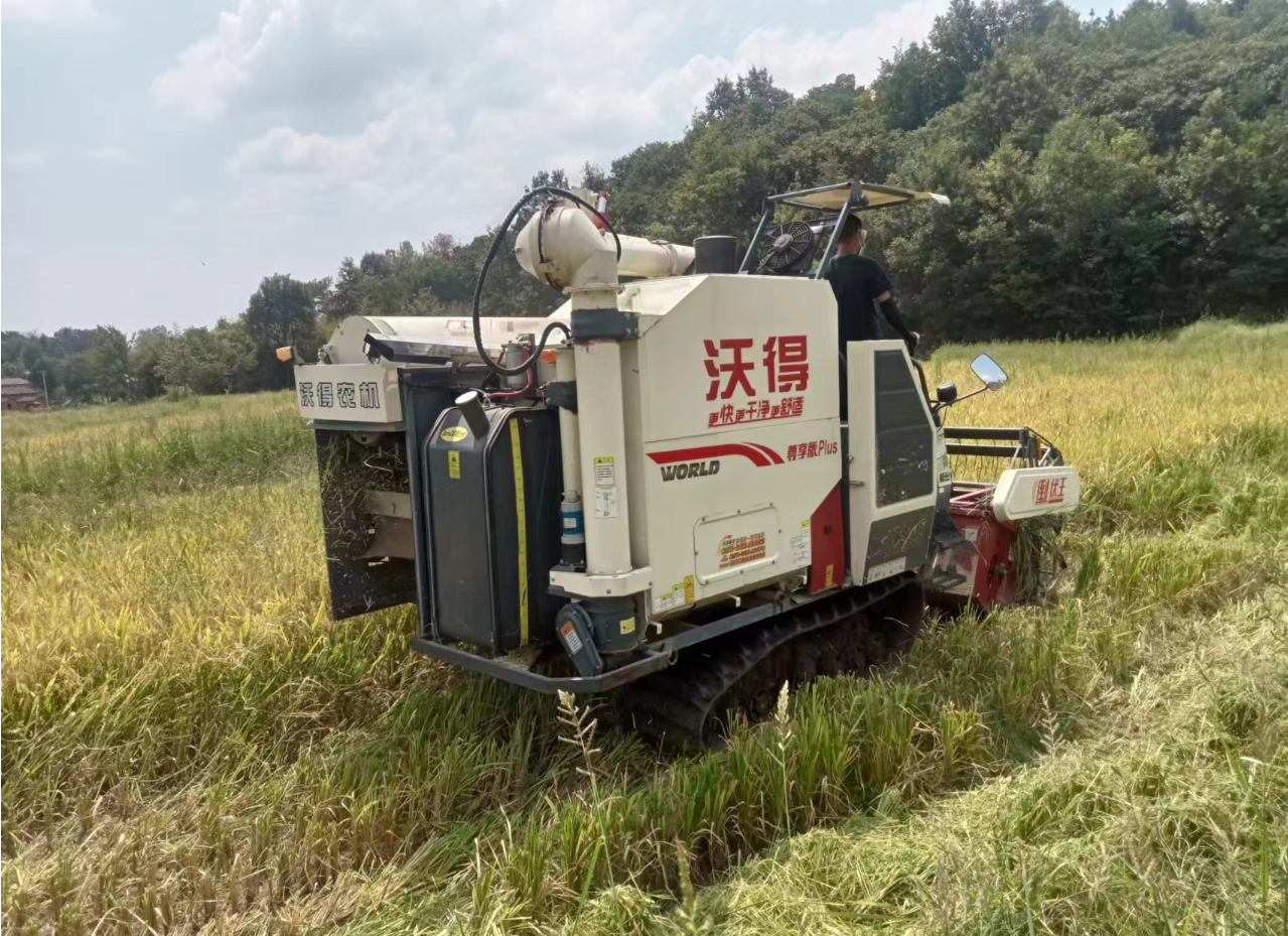 實行高標準整治後,水源排灌通暢,旋耕機,插秧機和收割機直接入田,今年